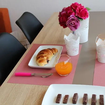 Apartman Visnjik *
