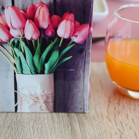 Daire Apartman Visnjik Zadar